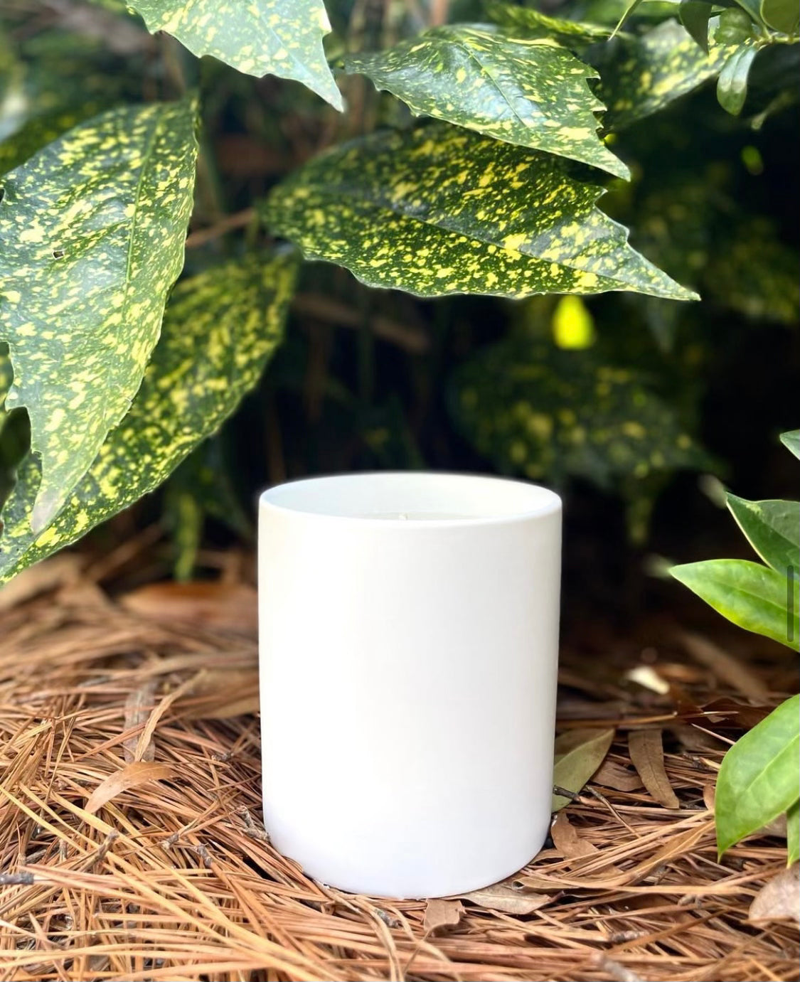 Handcrafted coconut soy wax candle, 12 oz ceramic front view